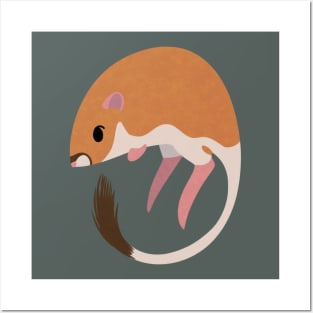 Kangaroo Rat Posters and Art